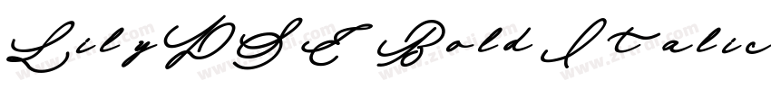 LilyDSE Bold Italic字体转换